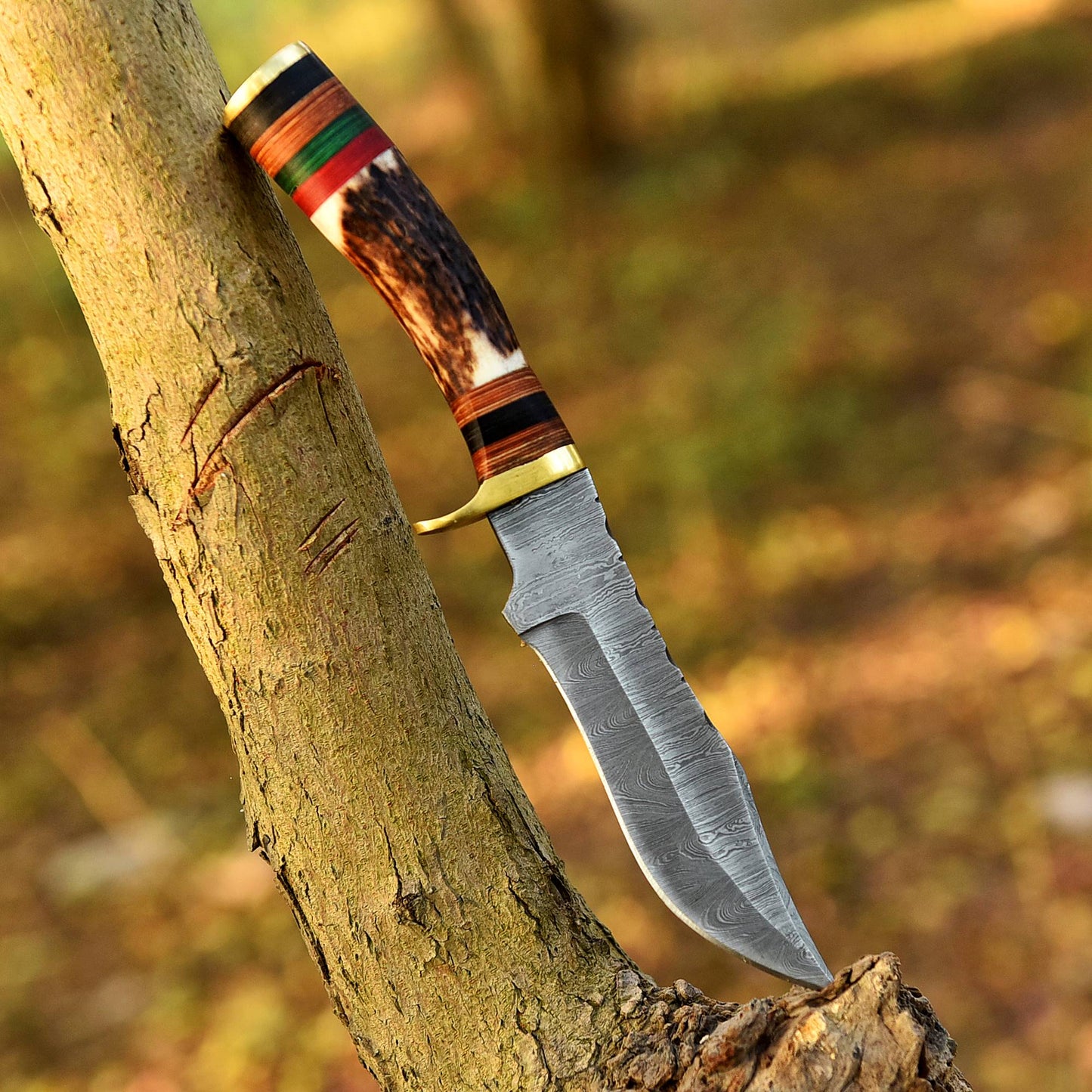 Damascus Steel Bowie Knife – Stag Antler Handle with Brass Guard & Leather Sheath