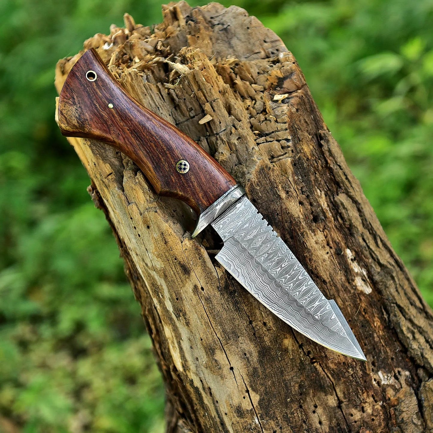 Damascus Bobcat Knife – 10" Fixed Blade with Walnut Handle & Leather Sheath