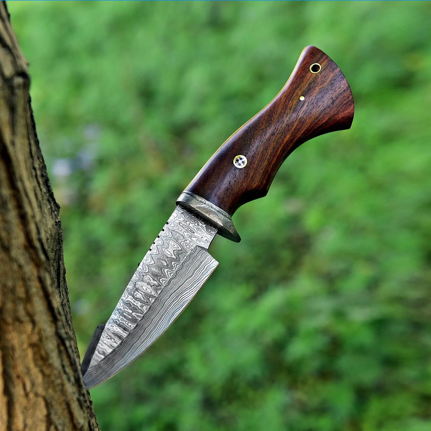 Damascus Bobcat Knife – 10" Fixed Blade with Walnut Handle & Leather Sheath