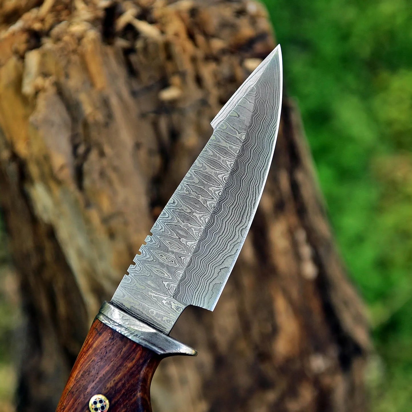 Damascus Bobcat Knife – 10" Fixed Blade with Walnut Handle & Leather Sheath